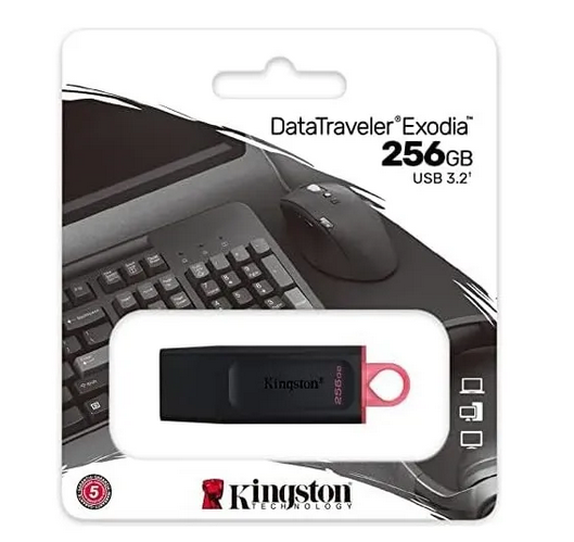 Pen Drive Kingston 256GB DTX